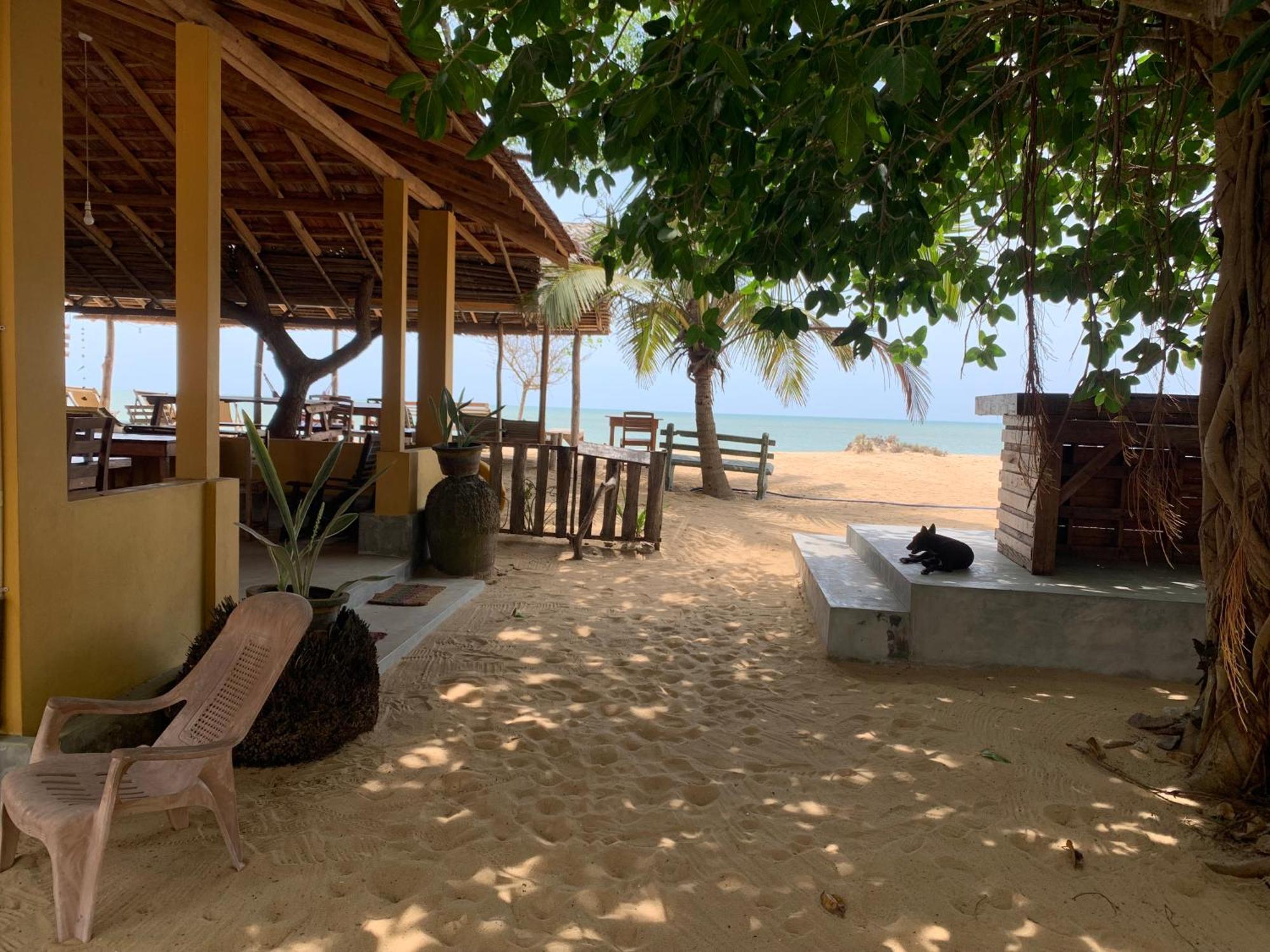 Ocean View Beach Resort - Калпития Экстерьер фото